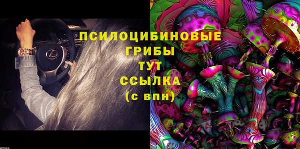 синтетический гашиш Алексеевка