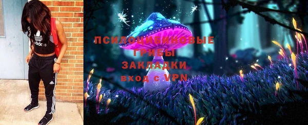 мяу мяу кристалл Переславль-Залесский
