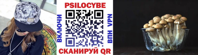 Галлюциногенные грибы MAGIC MUSHROOMS Бердск