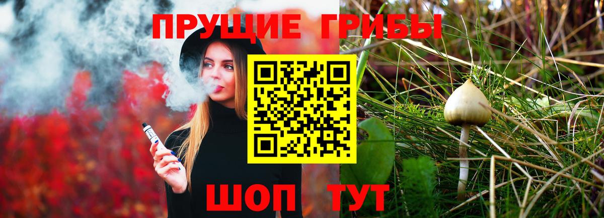 Псилоцибиновые грибы Psilocybine cubensis  Вход с VPN  Бердск 